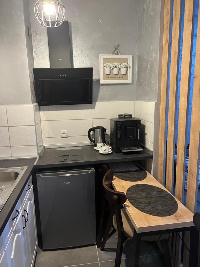 Apartman Didi2- Free Private Parking-Garage Nowy Sad Zewnętrze zdjęcie